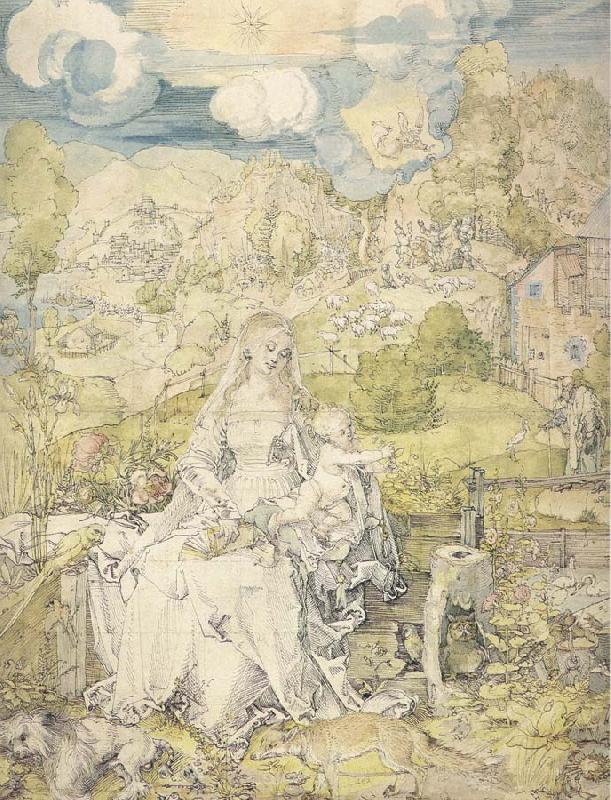 Albrecht Durer The Virgin with a Multitude of Animals Sweden oil painting art